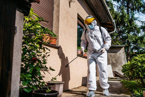 Best Emergency Pest Control  in Gordonsville, TN