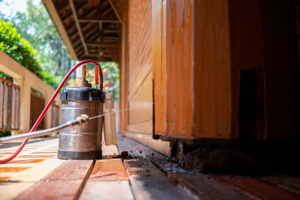 Best Pest Removal Services  in Gordonsville, TN